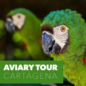 Aviary Tour Cartagena